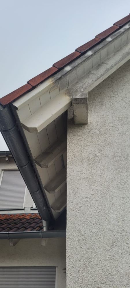 Probefläche