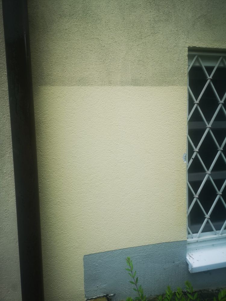 Probefläche